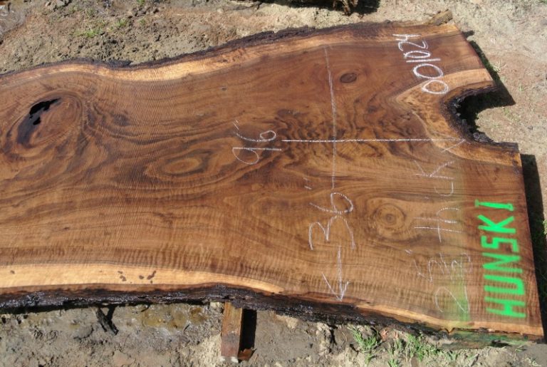 Wood Slabs Salvaging and Reclaiming Urban Woods