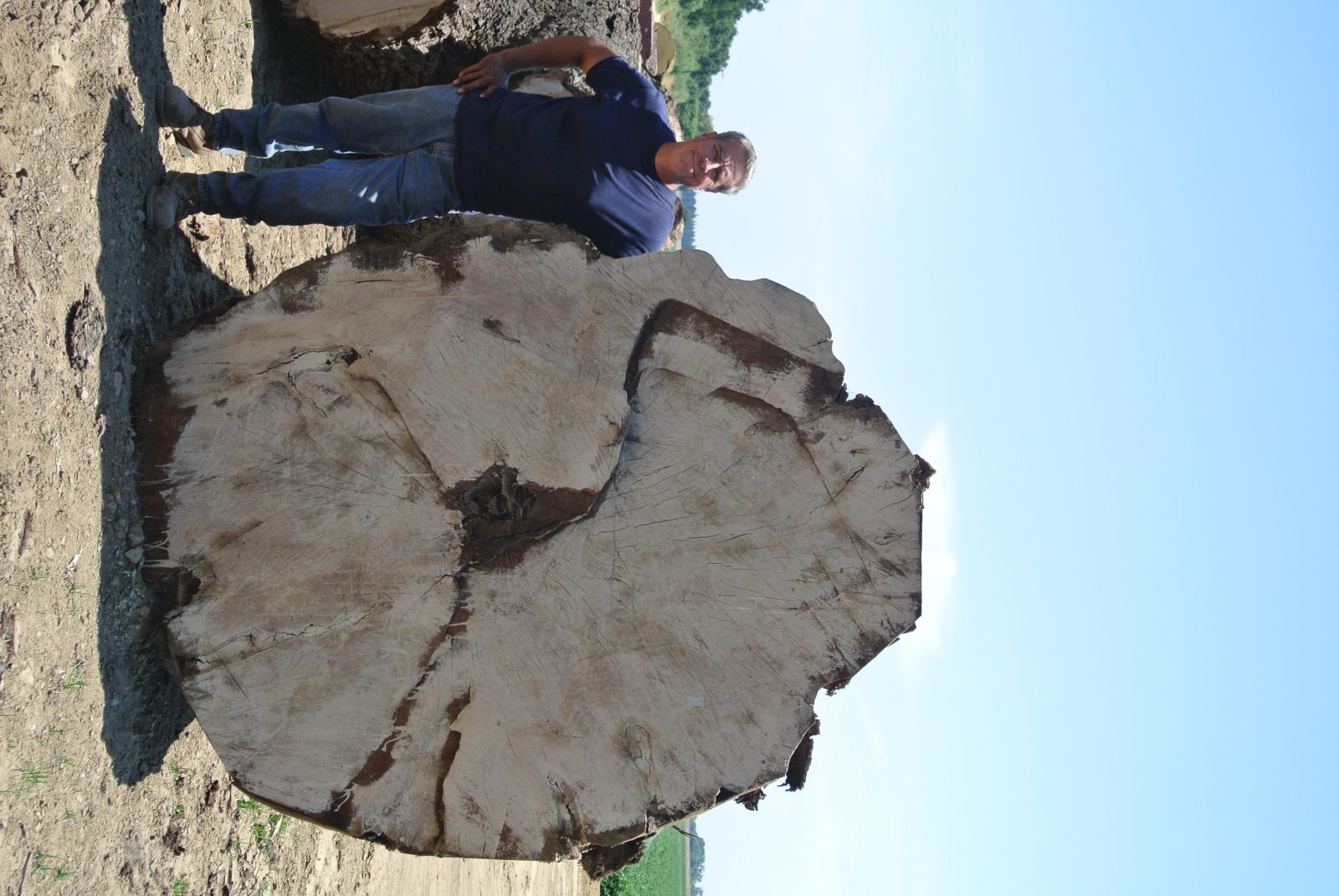 Hunski Hardwoods Reclaims an 8ft Wide by 8ft Long Black Walnut Tree!