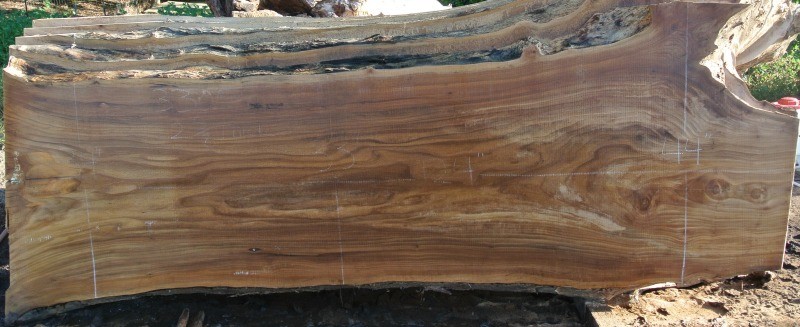 Just Listed Urban Salvaged Live Edge Red Elm Slabs