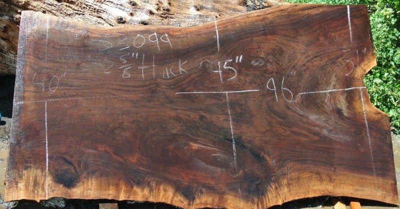 More California Black Walnut Slabs Added to our Website
