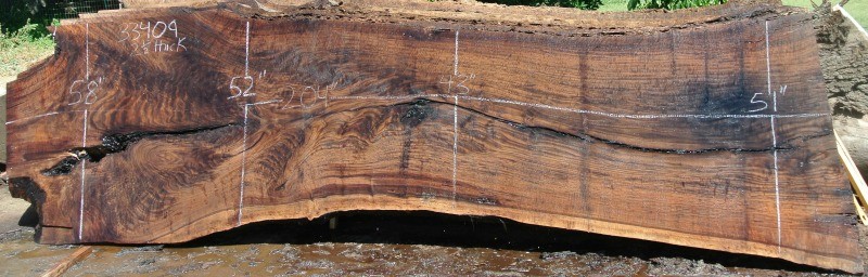 17′ Long Claro and Black Walnut Slabs Just Listed!!!!