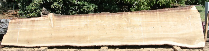 Huge 20′ Long Salvaged Elm and Deodar Cedar Slabs Just Listed!!