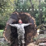 Hunski Salvages the Worlds Largest Straight Claro Black Walnut Tree