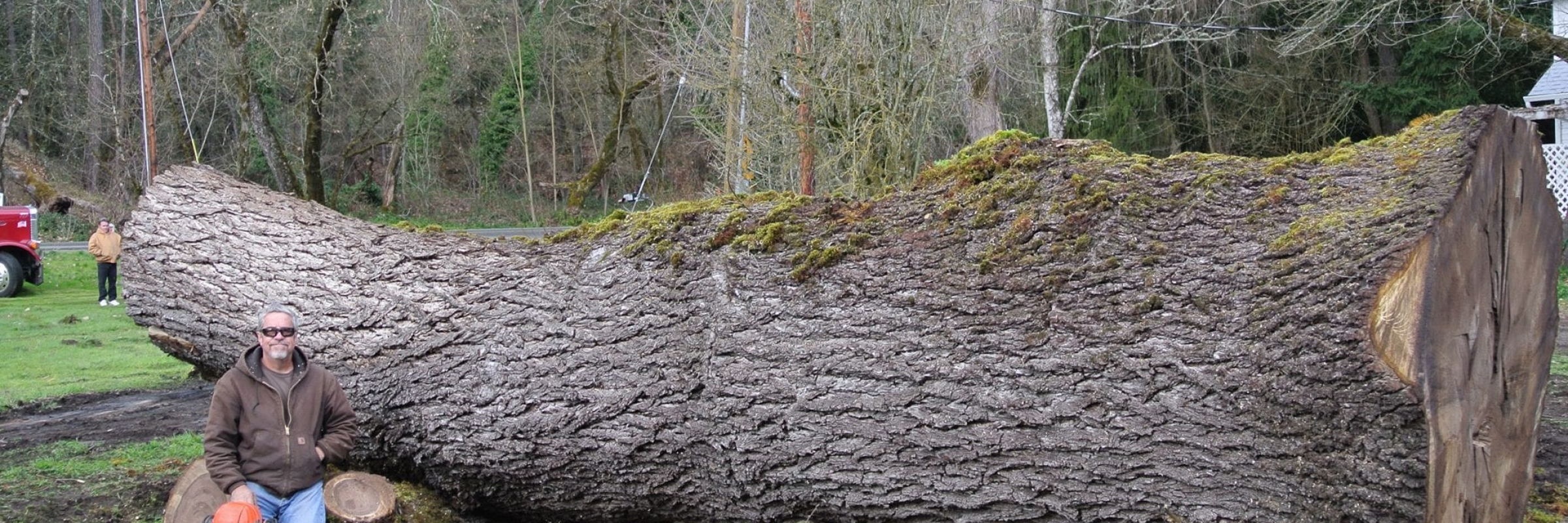 Salvaged Hardwood Logs
