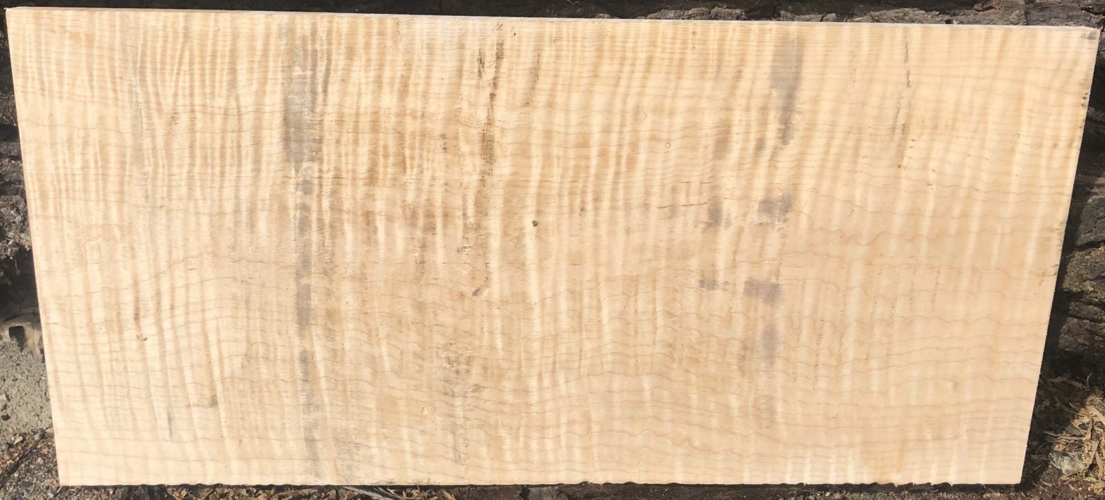 Curly Maple Raw Wood Veneer Sheets 6 x 24 inches 1/42nd          8632-20 