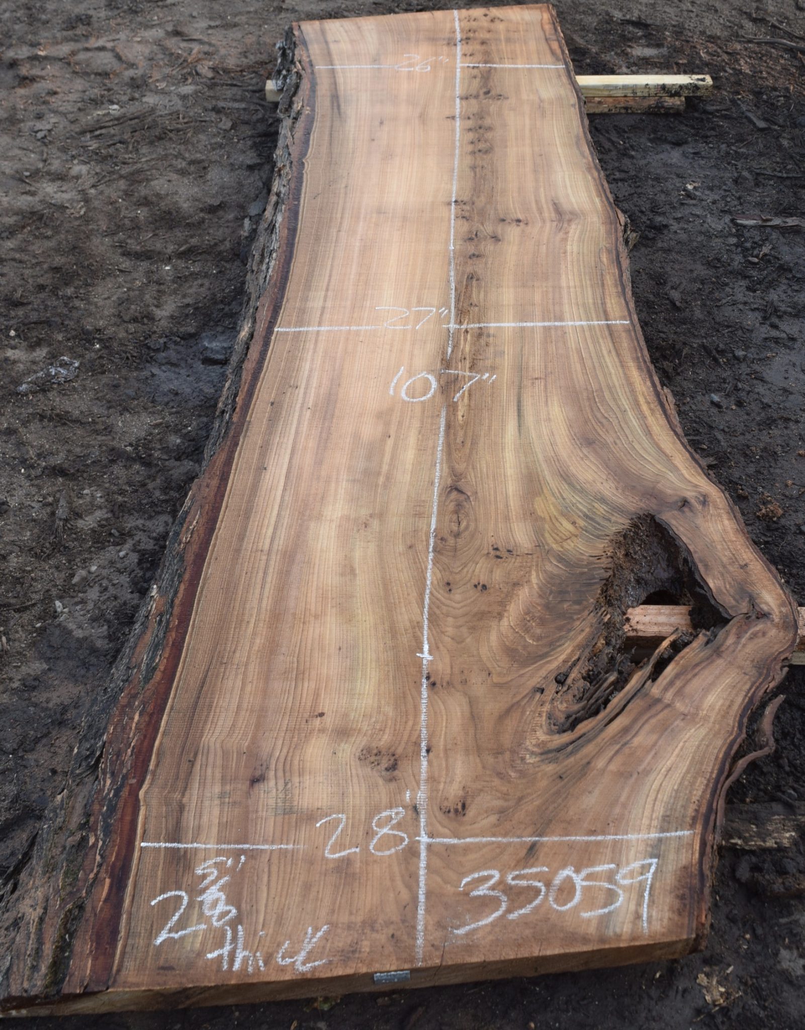 35059 Live Edge Elm Slab 107"x28"26"x2 5/8" November 2018 Salvaging