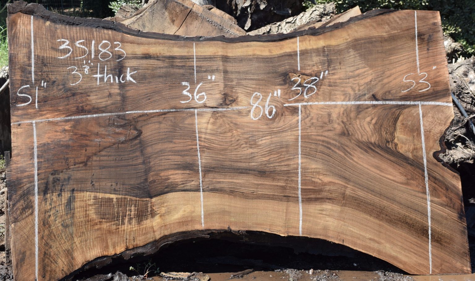 35183 Grafted English/Bastogne Walnut Slab 86”x53”36”x3 1/8” Aug 2019