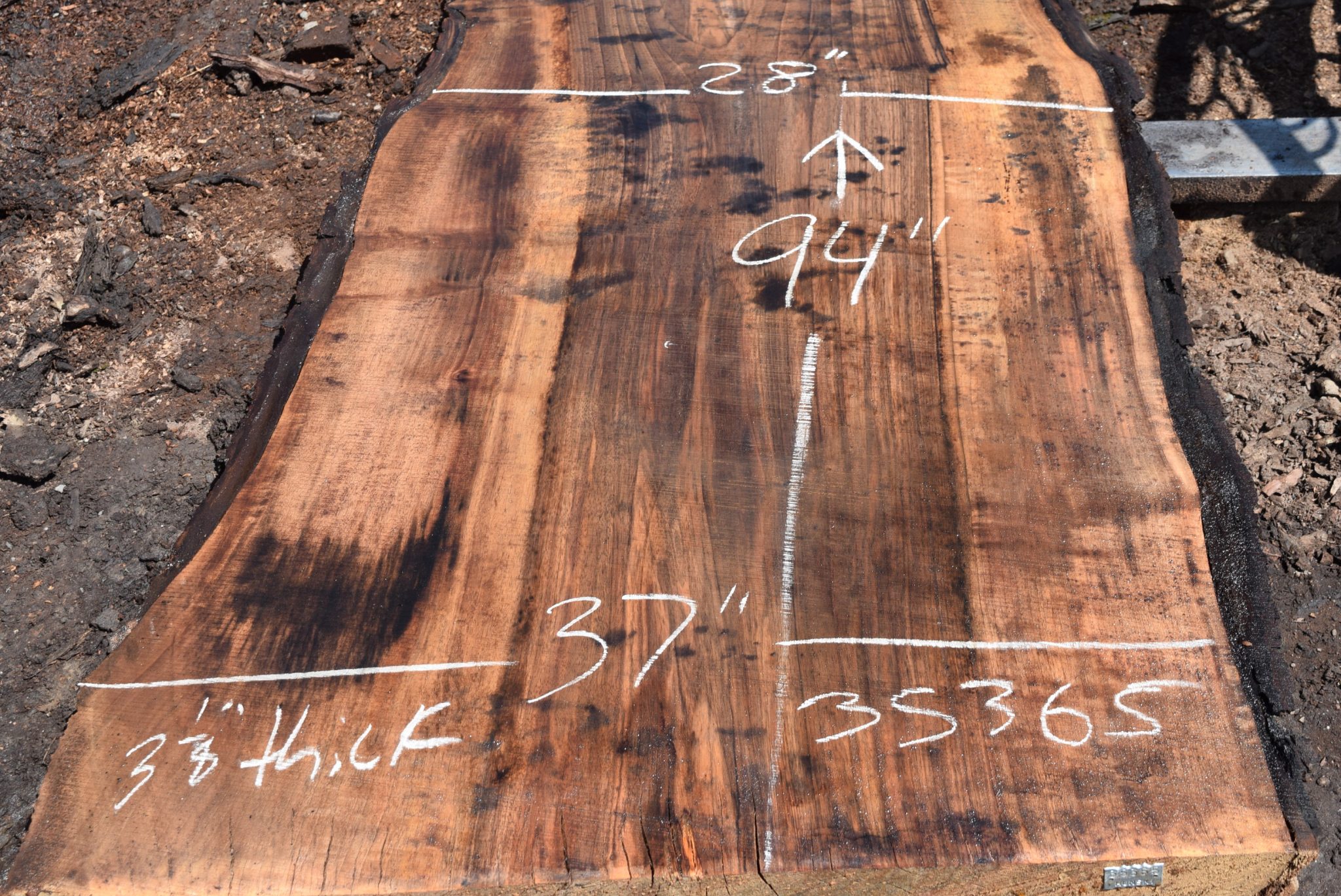35365 Grafted English Bastogne Walnut Slab 94”x51”28”x3 1/8” Aug 2019
