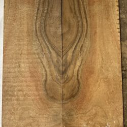 AA-29 Figured Bastogne Walnut Guitar Set