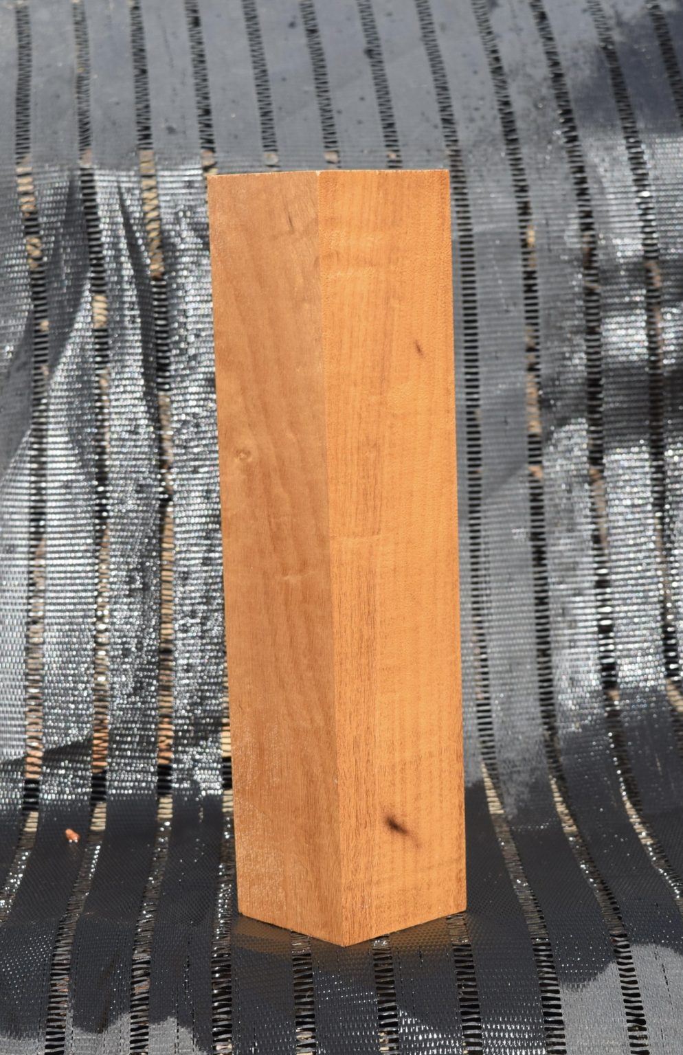 HHTB128 Myrtle Turning Blank Salvaging and Reclaiming Urban Woods