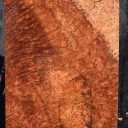 Figured Redwood and Lace Redwood Burl
