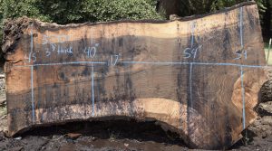 35401 Figured Bastogne Walnut Slab 117"x54"-40"x3 3/8" July 2021