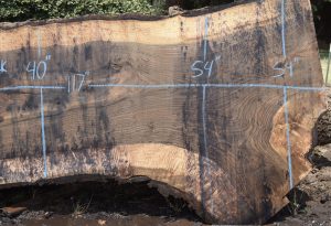 35401 Figured Bastogne Walnut Slab 117"x54"-40"x3 3/8" July 2021 - Image 3