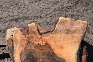 35924 Figured Bastogne Walnut Slab August 2022 - Image 2