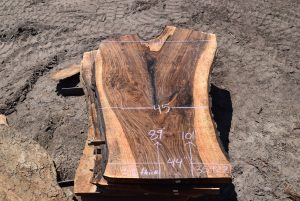 35922 Figured Bastogne Walnut Slab 101"x64"-44"x3 5/16" August 2022