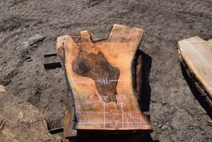 35924 Figured Bastogne Walnut Slab August 2022