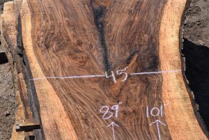 35922 Figured Bastogne Walnut Slab 101"x64"-44"x3 5/16" August 2022 - Image 3