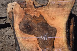 35924 Figured Bastogne Walnut Slab August 2022 - Image 3