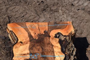 35953 Beautiful Bastogne Walnut Slab 83"x60"-38"x3 1/4" Sept 2022 - Image 2