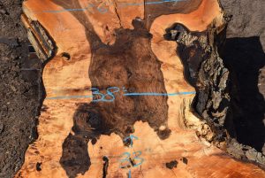 35953 Beautiful Bastogne Walnut Slab 83"x60"-38"x3 1/4" Sept 2022 - Image 3