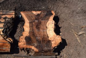 35955 Beautiful Bastogne Walnut Slab 83"x61"-45"x3 3/8" Sept 2022