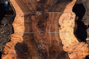 35955 Beautiful Bastogne Walnut Slab 83"x61"-45"x3 3/8" Sept 2022 - Image 3