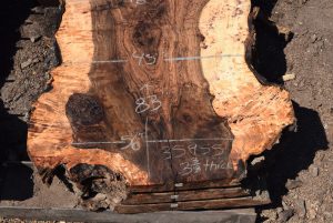 35955 Beautiful Bastogne Walnut Slab 83"x61"-45"x3 3/8" Sept 2022 - Image 4