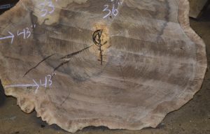 HROUND-136 Grafted English Claro Walnut Round Cookie Slab 43”-36”x3” - Image 2