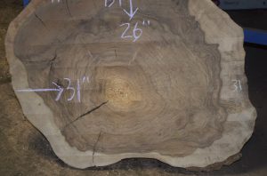 HROUND-139 Grafted English Claro Walnut Round Slab 31”x26”x3” - Image 2