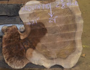 HROUND-140 Grafted English Claro Walnut Round Slab 30”x24”x2 5/8” - Image 5