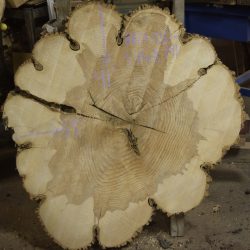 HROUND-141 Ash Round Slab 41”x39”x3”