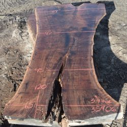 35906 California Black Walnut Slab 120”x65”-45”x3 3/8” July 2022