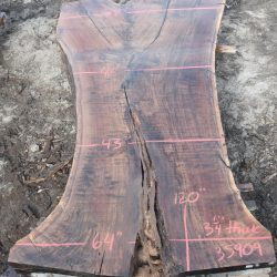 35909 California Black Walnut Slab 120”x64”-43”x3 1/4” July 2022