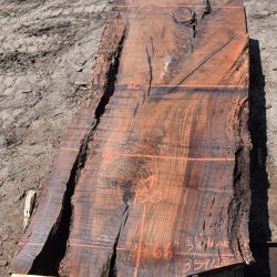 35915 Claro Walnut Slab 150”X66”-60”x3 1/8” July 2022