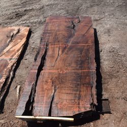 35916 Claro Walnut Slab 151”X64”-60”x3 3/8” July 2022