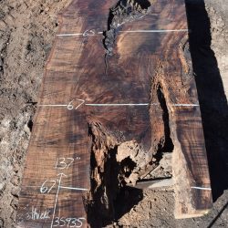 35935 Claro Walnut Slab 137”x67”-59”x3 3/8” July 2022