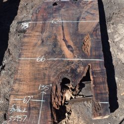 35937 Claro Walnut Slab 135”x67”-53”x3 7/8” July 2022