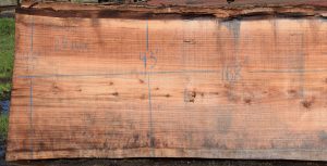 36168 Redwood Slab 168”x48”-41”x2 7/8”  - Image 2