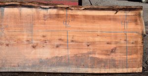 36168 Redwood Slab 168”x48”-41”x2 7/8”  - Image 4
