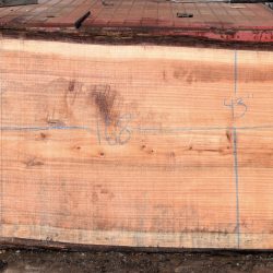 36169 Redwood Slab 168”x48”-41”x2 7/8”
