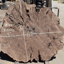 HROUND-162 Claro Walnut Burl Cookie Slab 60”x55”x2 3/8”
