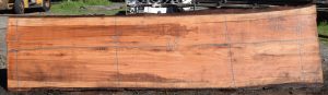 36176 Redwood Slab 168”x40”-37”x2 7/8” Feb 2025
