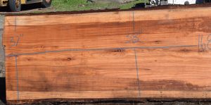 36176 Redwood Slab 168”x40”-37”x2 7/8” Feb 2025 - Image 2