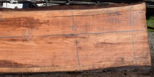 36176 Redwood Slab 168”x40”-37”x2 7/8” Feb 2025 - Image 4