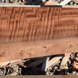 HHC-716 Claro Walnut Rifle Gunstock Blank