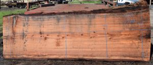 36178 Redwood Slab 143”x47”-42”x2 7/8” Feb 2025