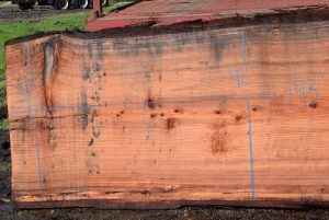 36178 Redwood Slab 143”x47”-42”x2 7/8” Feb 2025 - Image 2