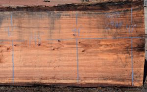 36178 Redwood Slab 143”x47”-42”x2 7/8” Feb 2025 - Image 3
