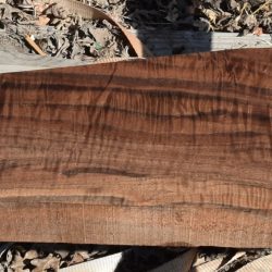 HHC-717 Claro Walnut Rifle Gunstock Blank