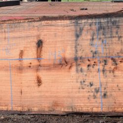 36179 Redwood Slab 143”x48”-42”x2 7/8” Feb 2025